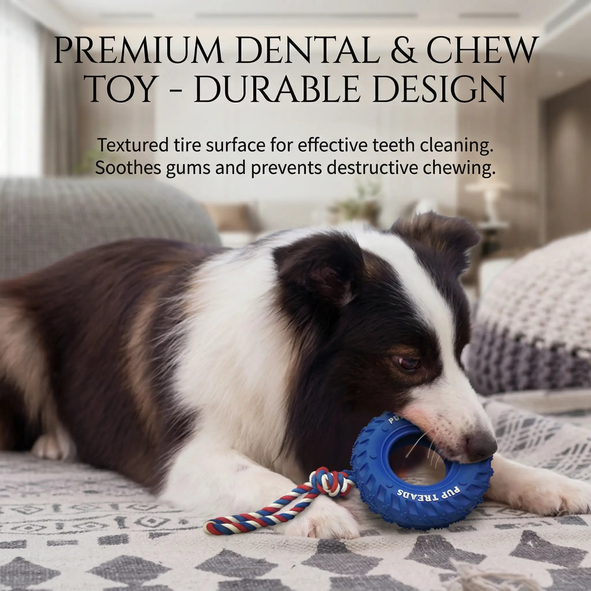 Dog Chew Tire – Tough Rubber Toy for Play & IQ Training