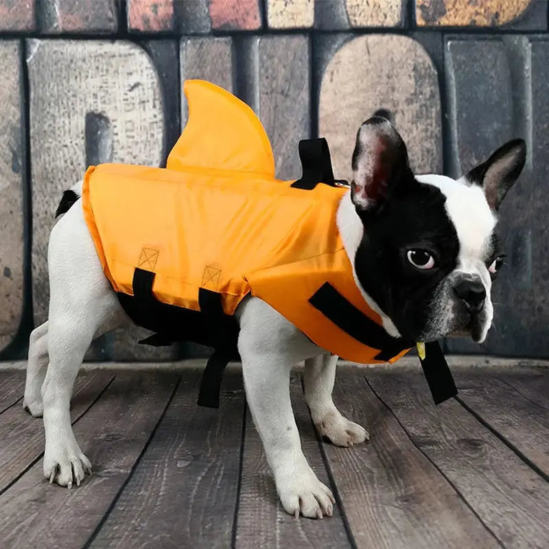 Dog Swim Vest – Shark Life Jacket for Safe Swimming