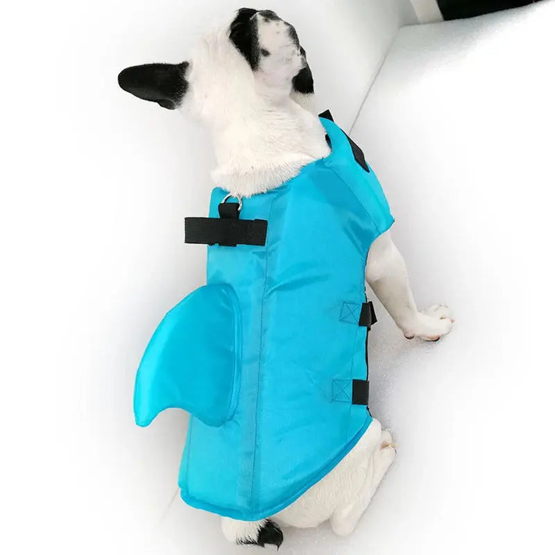 Dog Swim Vest – Shark Life Jacket for Safe Swimming