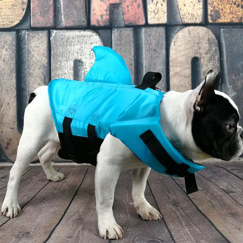 Dog Swim Vest – Shark Life Jacket for Safe Swimming