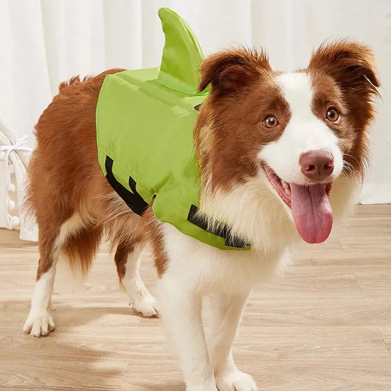 Dog Swim Vest – Shark Life Jacket for Safe Swimming