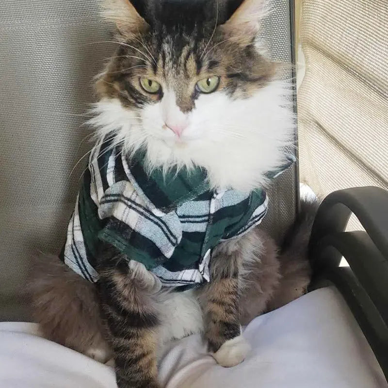 Plaid Pet Shirt – Stylish Dog T-Shirt for Small & Medium Dogs