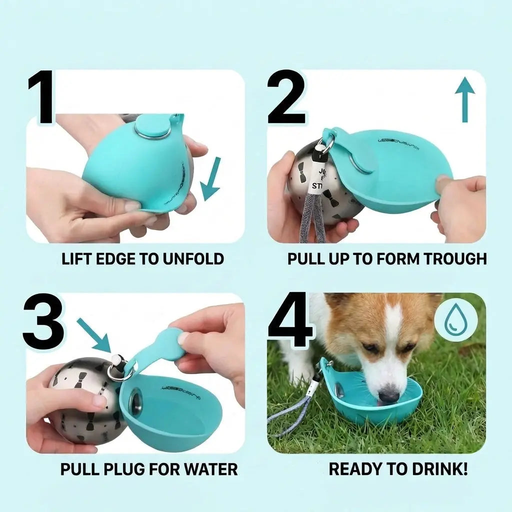 Portable Dog Water Bottle – Leak-Proof Travel Bottle with Bowl