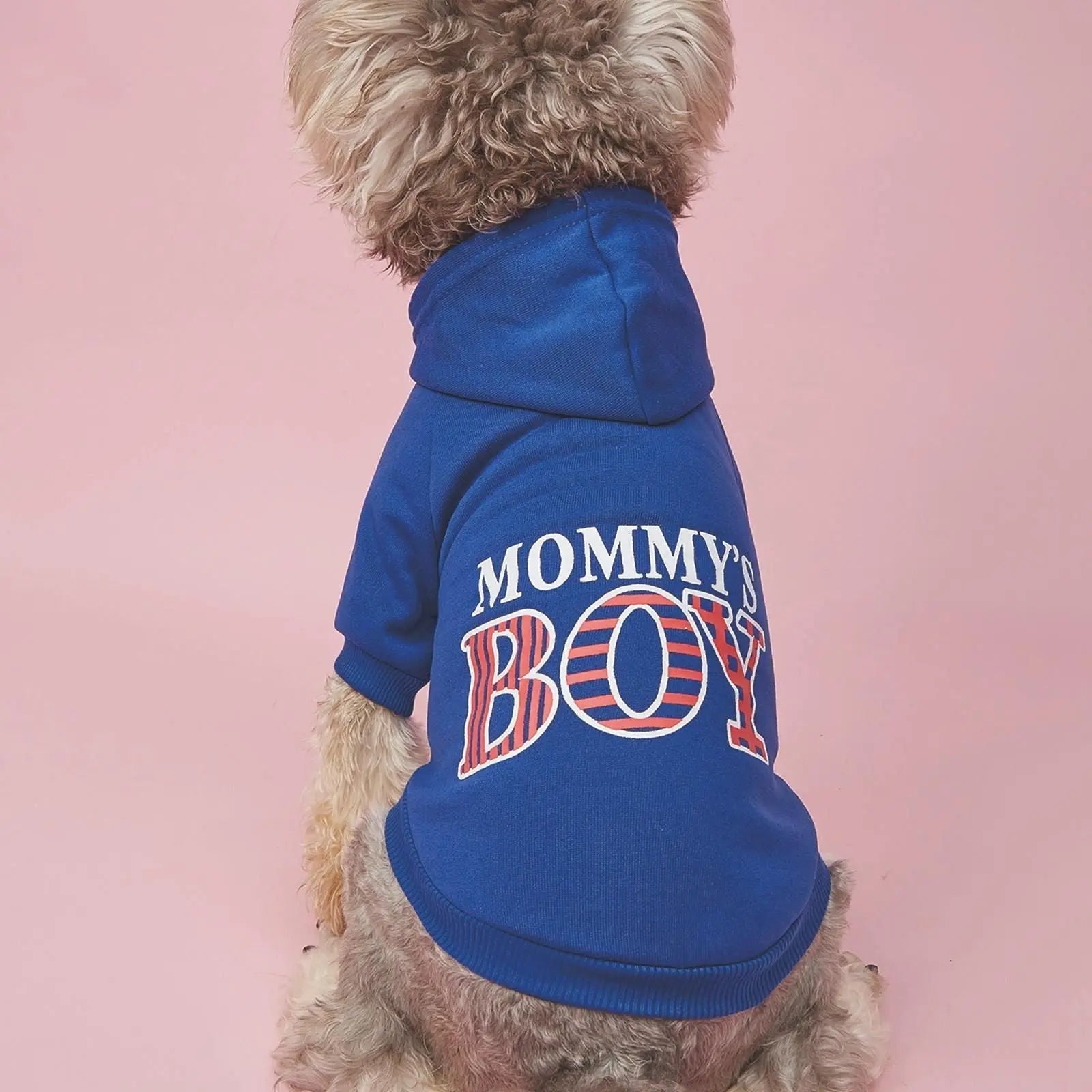 Cute Dog Hoodie – Warm Pet Apparel for Small & Medium Dogs