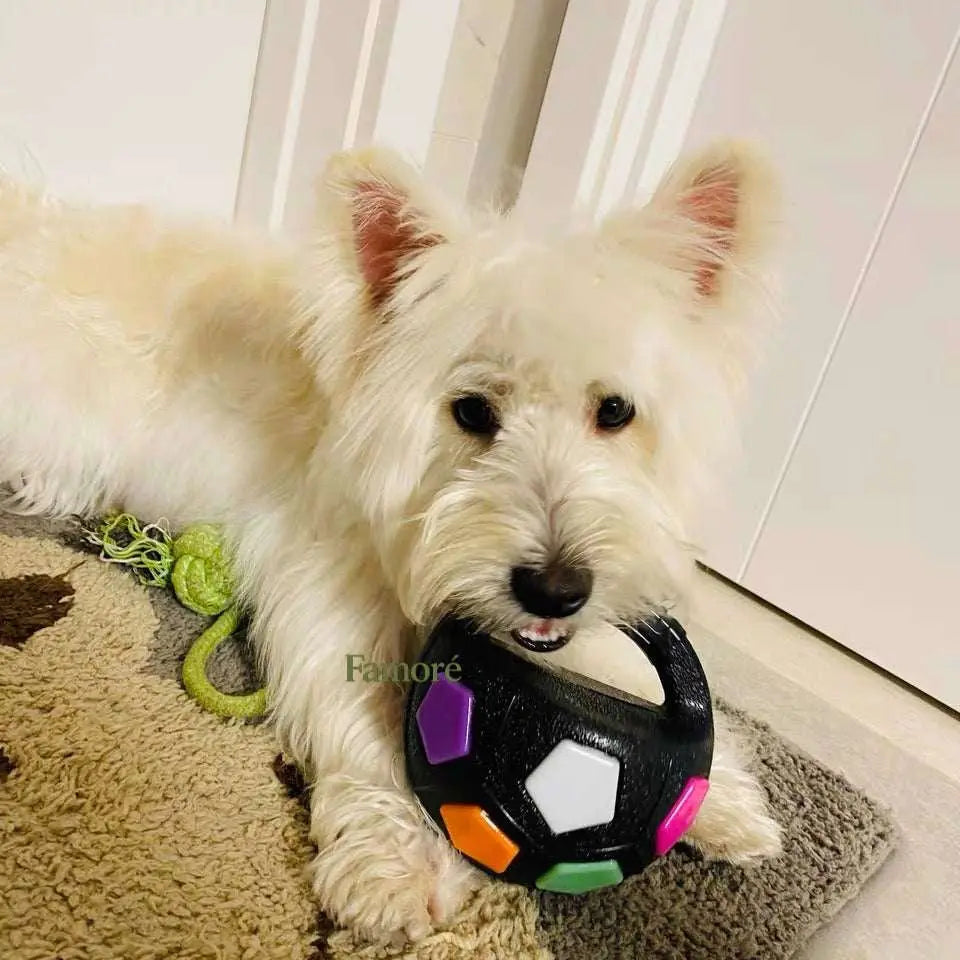 Durable Dog Toy Ball – Stress Relief Chew & Play Toy