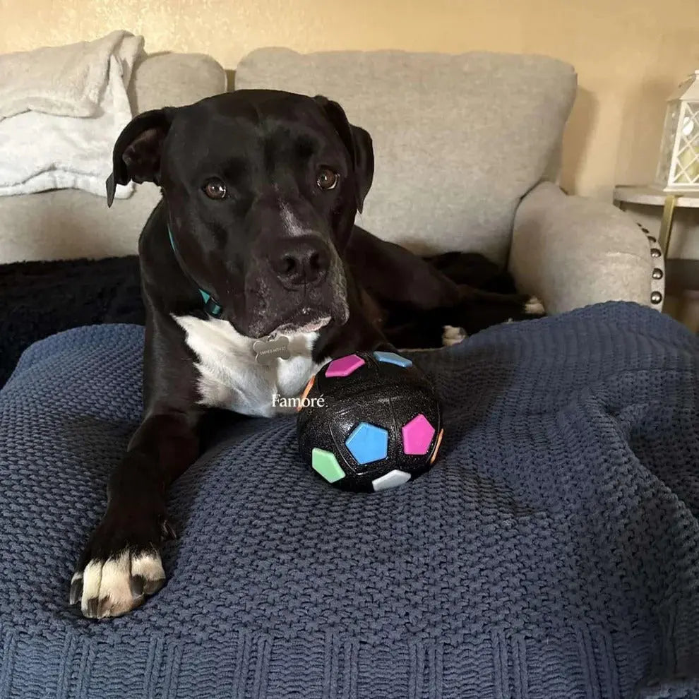 Durable Dog Toy Ball – Stress Relief Chew & Play Toy