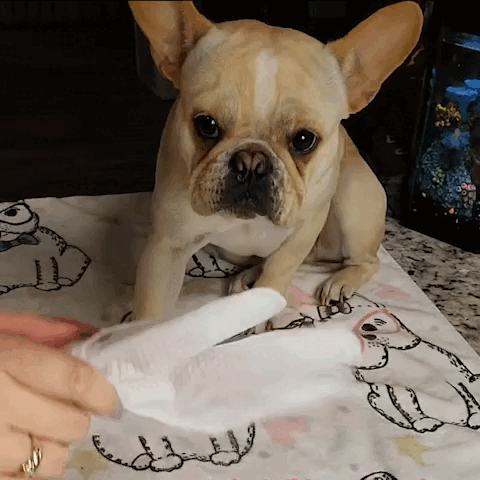 Deodorizing Pet Glove Wipes (18-Pack) Mud- Free Paws
